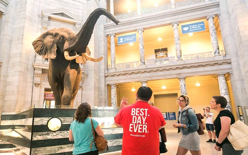 Smithsonian Shuts Down All Museums and Zoo as U.S. Government Shutdown Intensifies
