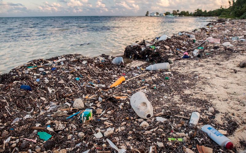 DNA From Discarded Straw Leads to Arrest in 1984 Long Island Murder Case