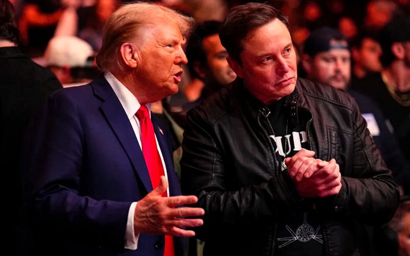 Trump’s Ex-Lawyer Offers Elon Musk ‘War Advice’ After Public Fallout With President