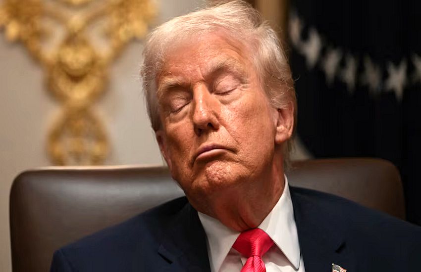 ‘Daily Show’ Slams Trump, 79, for Dozing During Cabinet Meeting