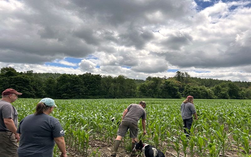 New England Climate Shock: Region Racing Toward Dangerous Heating Threshold