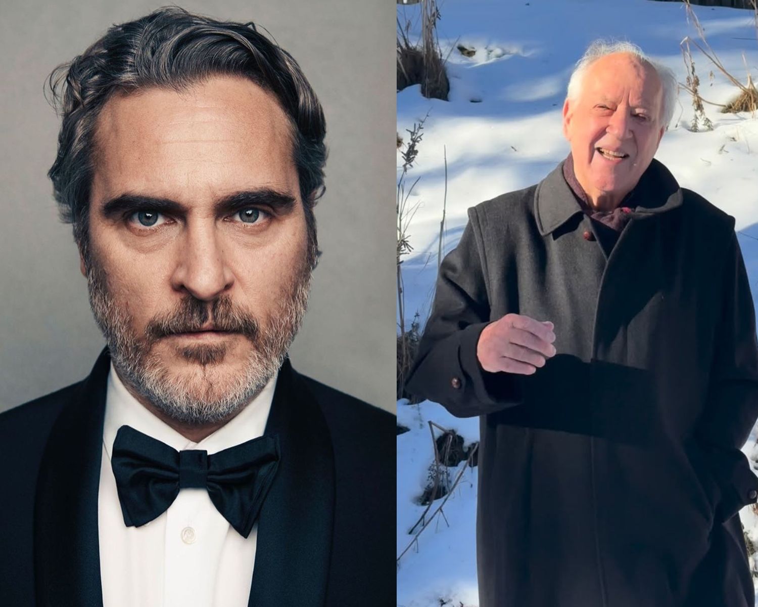 Joaquin Phoenix, Werner Herzog